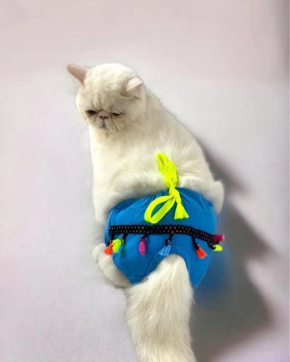 Blue Tufty Kemique's Secret Kedi İç Çamaşırı  Regl Külot  Don