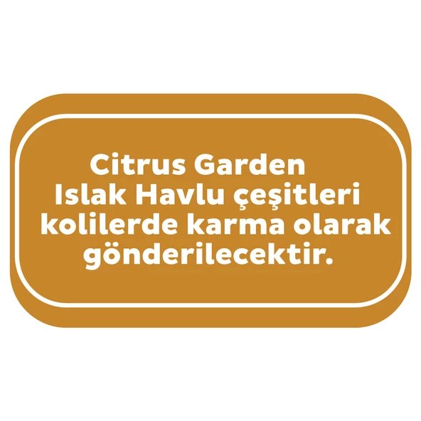 Sleepy Citrus Garden Islak Bebek Havlusu 24x90 (2160 Yaprak) - 3