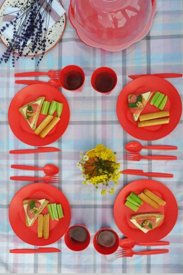 Papatya Piknik Seti 22 Parça Kırmızı - 2