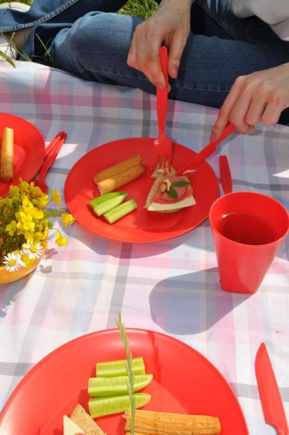 Papatya Piknik Seti 22 Parça Kırmızı - 3