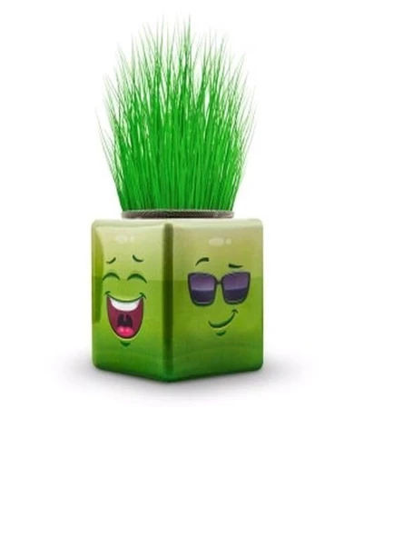 BamBamToys 36 Adet Karışık 3 Tarafı Emojili Küp Çim Adamlar Okul Ve Okul Öncesi Hediyelik Çim Adam - 3