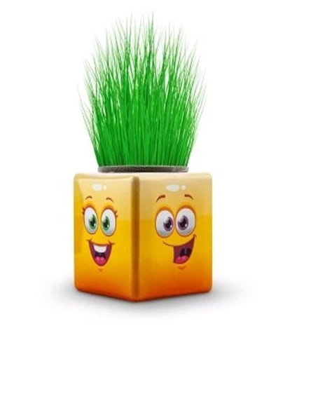 BamBamToys 40 Adet Karışık 3 Tarafı Emojili Küp Çim Adamlar Okul Ve Okul Öncesi Hediyelik Çim Adam - 2