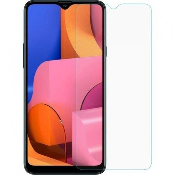 Telbor Samsung Galaxy A20S Nano Cam Ekran Koruyucu Şeffaf Extra Darbe Emici