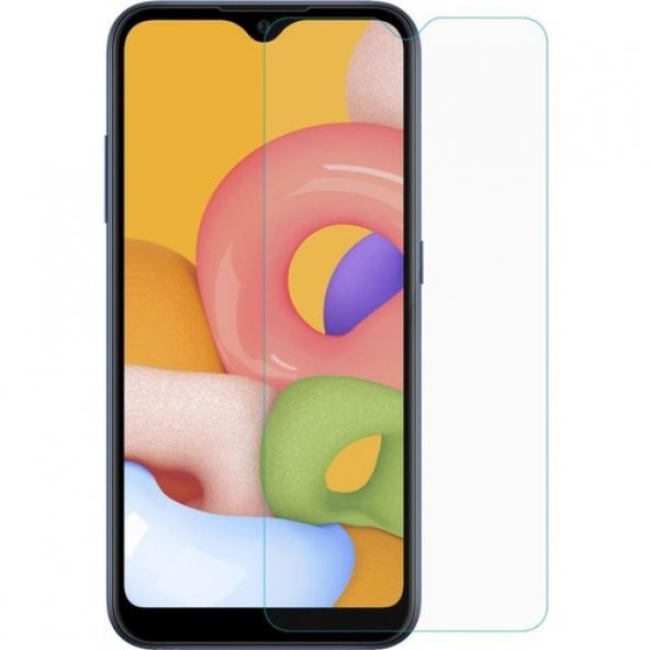 Samsung Galaxy A01  Ekran Koruyucu Extra İnce