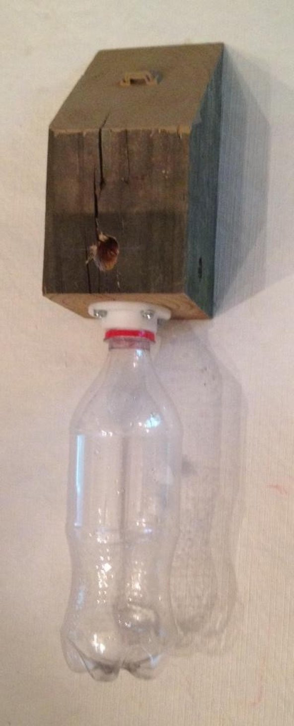 Marangoz Arı Tuzağı Vida Şişesi Flanş Plastik Aparat