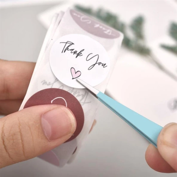 İkili Cımbız Seti Paslanmaz Çelik Mavi Renk Düz ve Kavisli Model - Resim 8