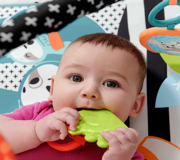 Fisher Price Fisher Price Neşeli Hayvanlar 3'ü 1 Arada Jimnastik Merkezi Oyun Halısı - 6