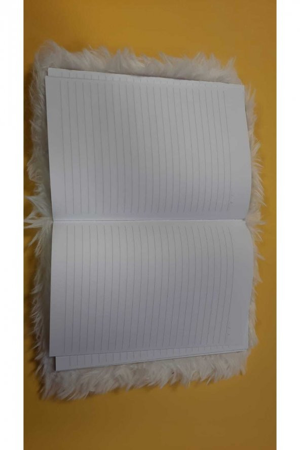 Dolphın Pelüş Hatıra Defteri Pn-624 - 4