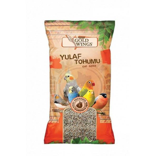 Gold Wings Yulaf Tohumu Tamamlayıcı 300 gr