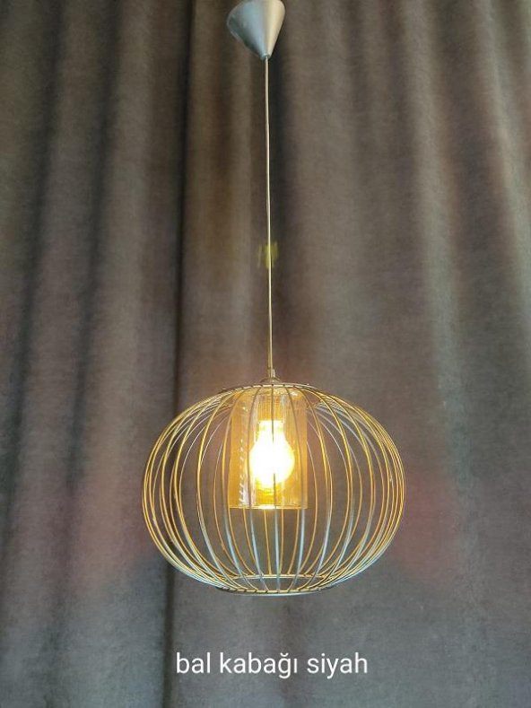 BAL KABAĞI SİYAH SARKIT ARMATÜR