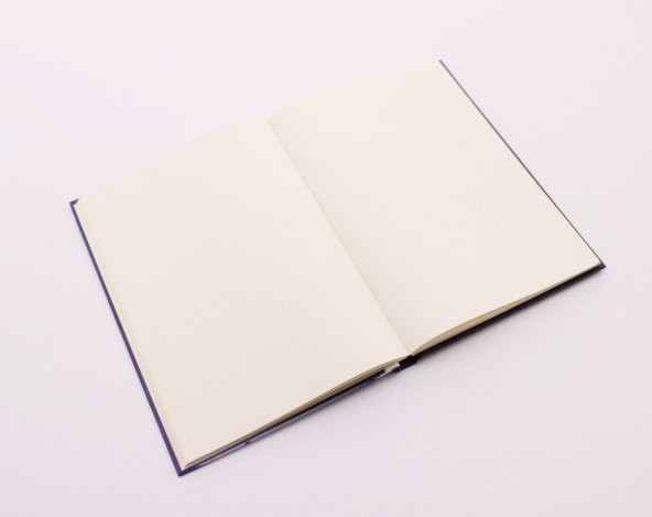 Lastikli Noktalı Sert Kapak BTS Defter - 5
