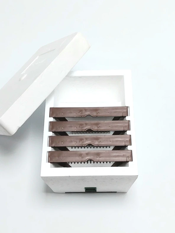 Strafor Ana Arı  Çiftleştirme kutusu - 3