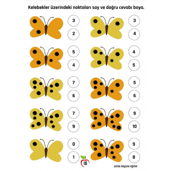 Okul Öncesi ve 1. Sınıf Matematik Alıştırmalar Kitabı (2 Fasikül) - 2