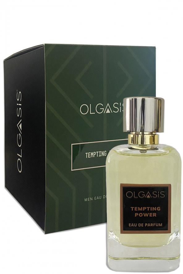Tempting Power Edp 100 Ml Men Eau De Parfum Nish Parfüm Kalıcı Erkek Parfümü 4-5 Gün Kalıcı