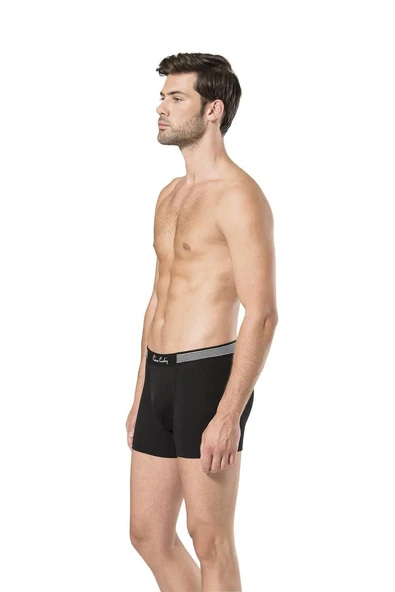 Pierre Cardin Erkek Stretch Boxer Tekli - Resim 8