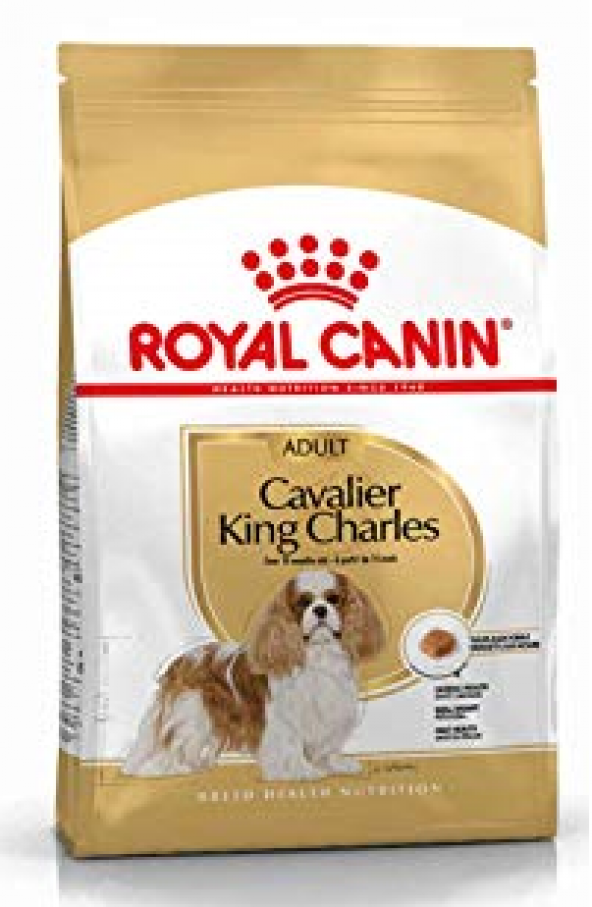 Royal Canin Cavalier King Charles Yetişkin Köpek Maması 3 Kg