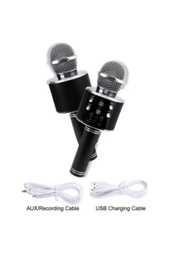 Karaoke Mikrofon Bluetooth Hoparlör Aux Usb Mikro Sd Kart Girişli Siyah  Wster Ws-858 - 2