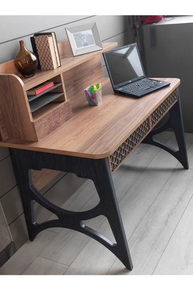 Aydınev LİKYA ÇALIŞMA MASASI - Resim 2