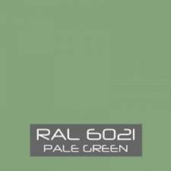 Pamukkale 4200 Epoksi Boya 18 Kg Ral 6021 Makina Yeşili - 2