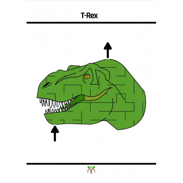 Süper Ötesi Temalı Labirent Kitabı - 2