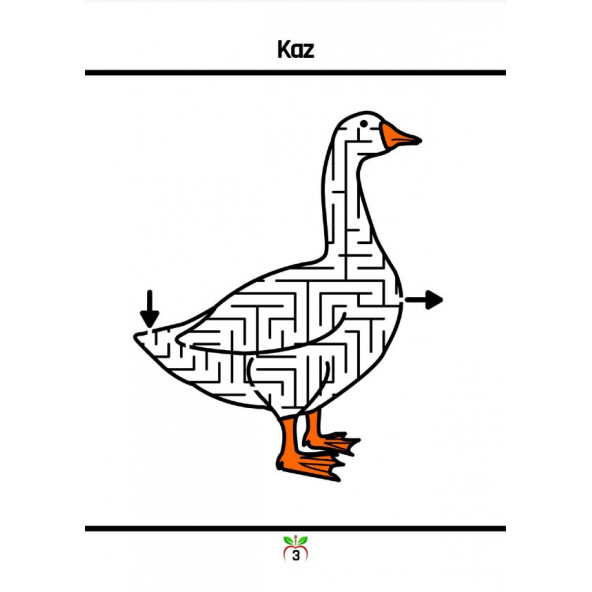 Süper Ötesi Temalı Labirent Kitabı - 4