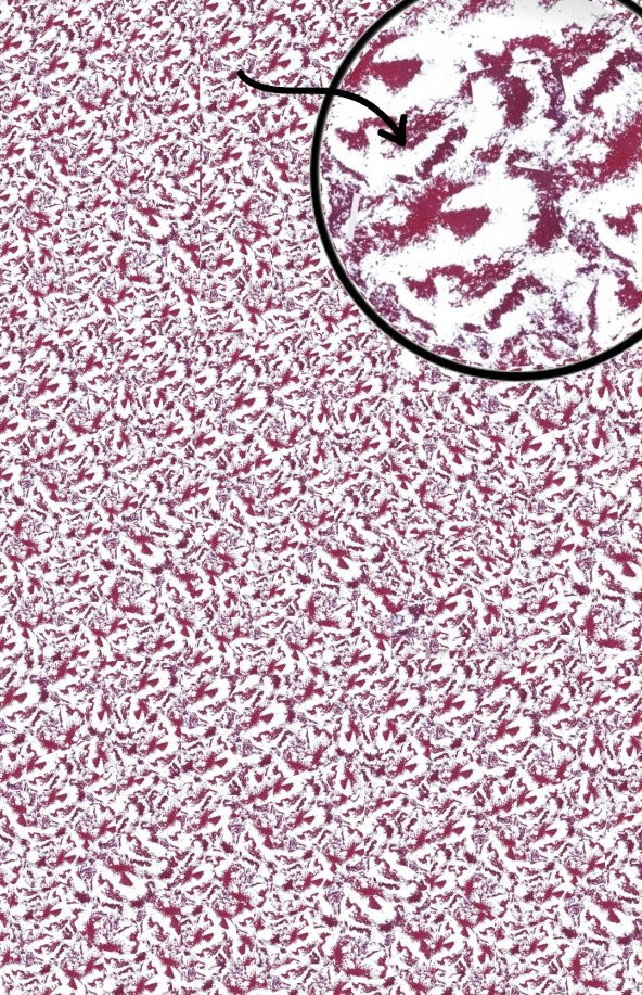 Organik İpek Sıva - Dekoratif Yalıtım Sıvası - Ses & Isı & Nem Yalıtımı  - İZO-035  - 6 m2 - Resim 2