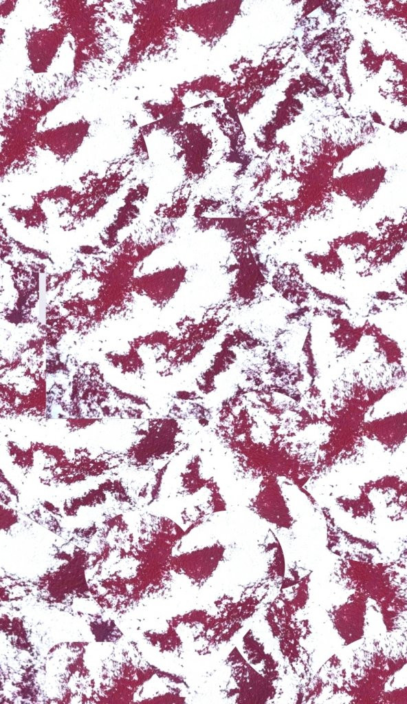 Organik İpek Sıva - Dekoratif Yalıtım Sıvası - Ses & Isı & Nem Yalıtımı  - İZO-035  - 6 m2 - Resim 3