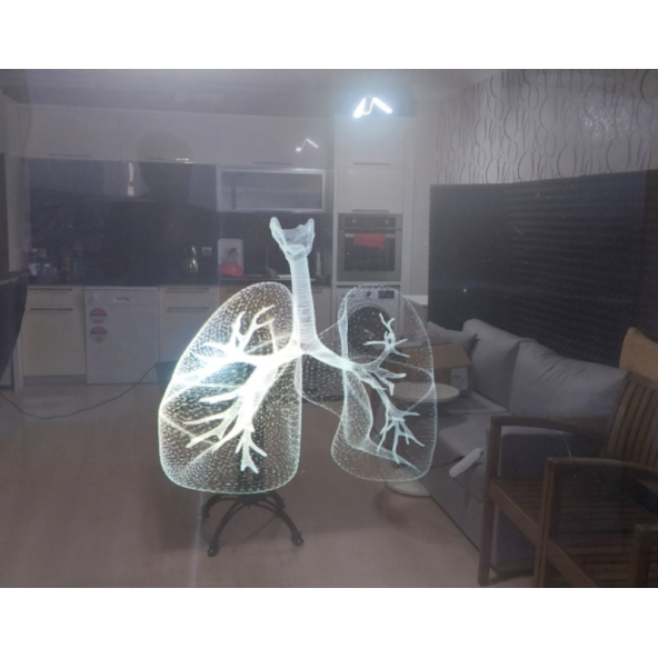 Şeffaf Ters Projeksiyon hologram filmi (152X100mm)