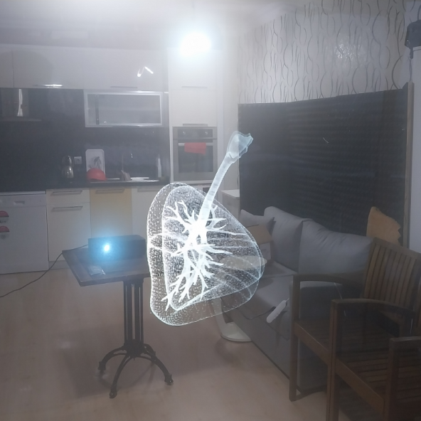 Şeffaf Ters Projeksiyon hologram filmi (152X100mm) - 2