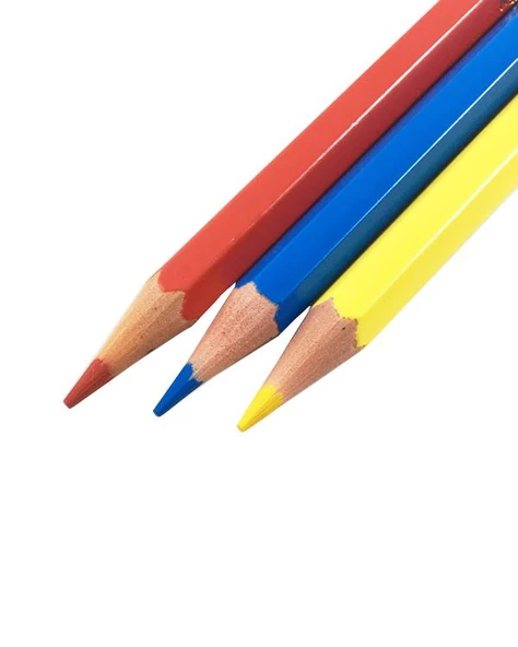 Alpino Uzun Kuru Boya Kalemi 12 Renk - Resim 3