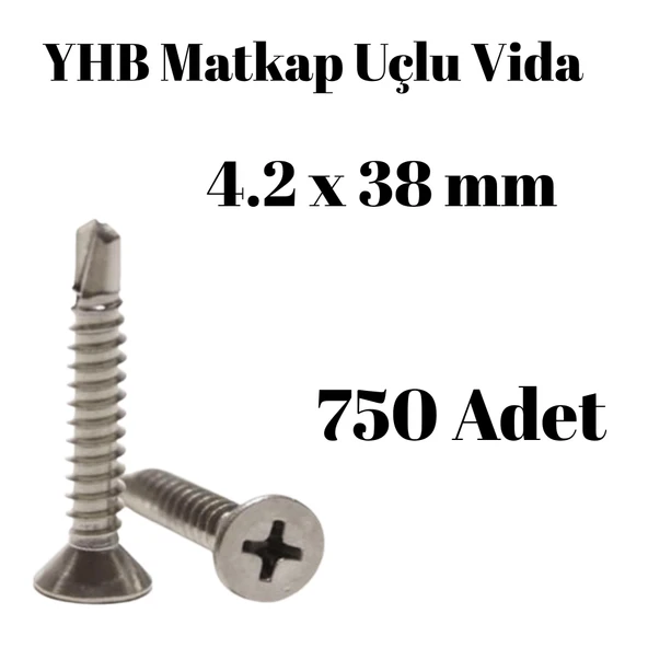Matkap Uçlu Vida YHB 4,2x38 750'li Paket ürün görseli 1