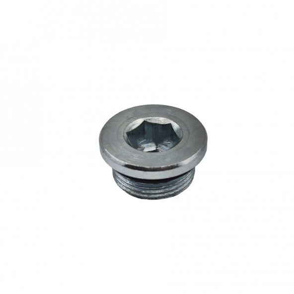 Fiat, Citroen, Peugeot, Iveco, Dodge, Jeep İçin Karter Tapası Pullu - 4