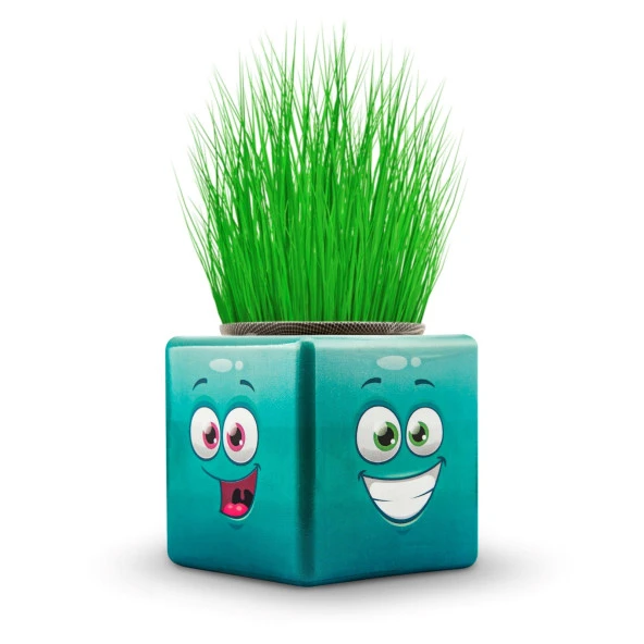 30 Adet Karışık 3 Tarafı Emojili Küp Çim Adamlar Okul Ve Okul Öncesi Hediyelik Çim Adam - 4