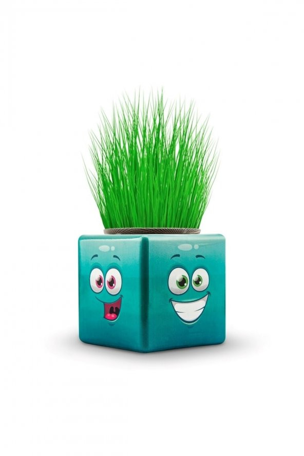 48 Adet Karışık 3 Tarafı Emojili Küp Çim Adamlar Okul Ve Okul Öncesi Hediyelik Çim Adam