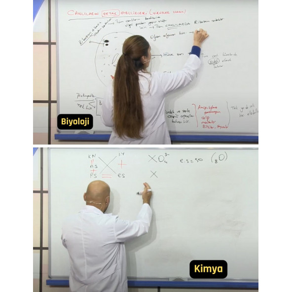 Açık Lise Fen Bilimleri Tüm Dersler Görüntülü Eğitim Seti - 3
