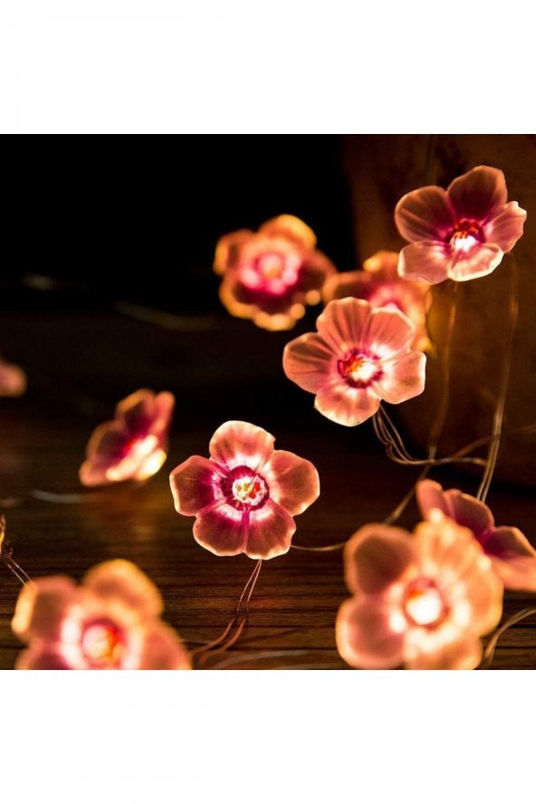 Naturalove Led ışık zinciri