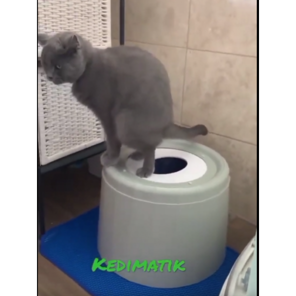 Kedimatik - Cat Toilet (Lacivert) - 3