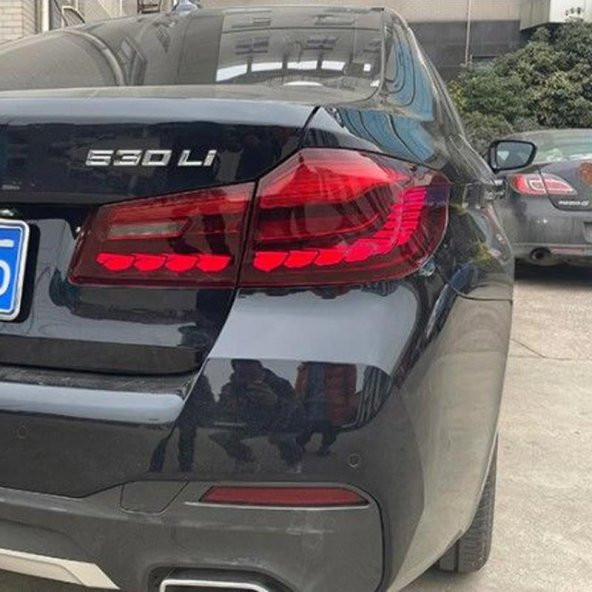 Oled Garaj BMW 5 Serisi İçin Uyumlu G30 Dragon Led Stop Takımı Kırmızı