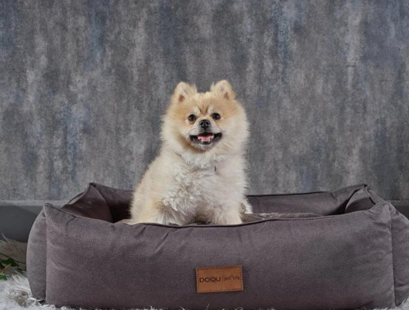Doqu Home Dogbed Evcil Hayvan Yatağı Antrasit Gri 2Q9YTKKOPKA010001 - 6