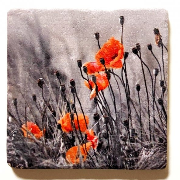 Şeker Portakalım Dekoratif Figürlü Doğal Taş Banyo Gider Kapağı Süsü Tekli 10X10 Cm