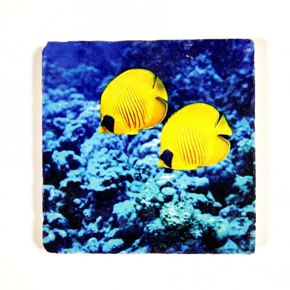 Şeker Portakalım Dekoratif Figürlü Doğal Taş Banyo Gider Kapağı Süsü Tekli 10X10 Cm