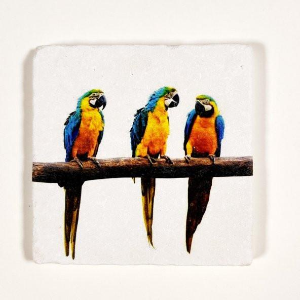 Şeker Portakalım Dekoratif Figürlü Doğal Taş Banyo Gider Kapağı Süsü Tekli 10X10 Cm