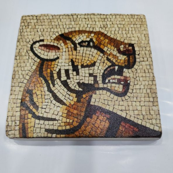 Şeker Portakalım Dekoratif Figürlü Doğal Taş Banyo Gider Kapağı Süsü Tekli 10X10 Cm
