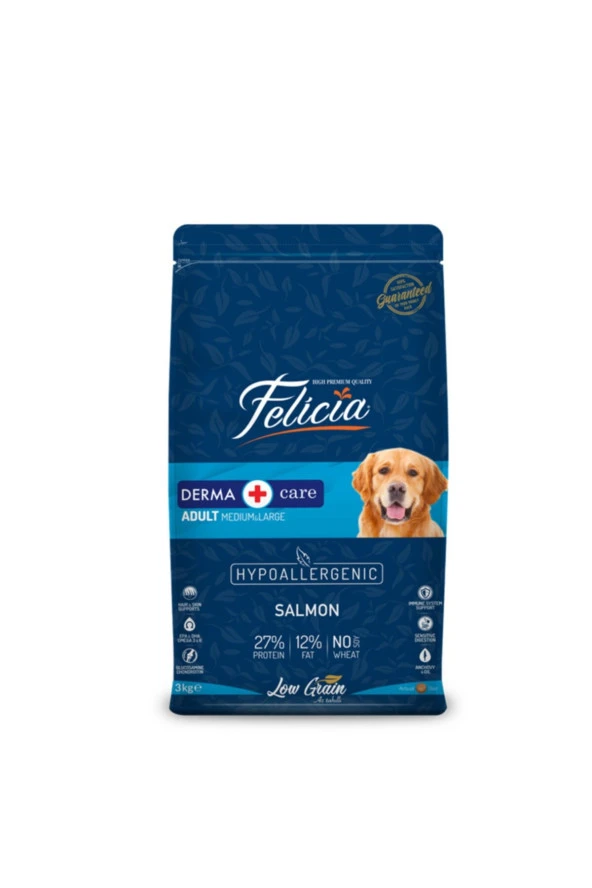 Felicia Yetişkin Somonlu Köpek Maması 3 kg