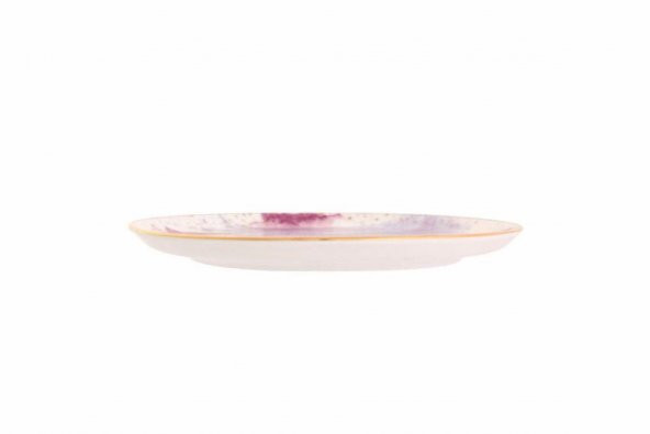 Porland Cosmos Desen7 Düz Tabak 17 cm 04ALM006685 - 3
