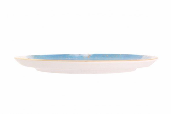 Porland Cosmos Desen5 Düz Tabak 24 cm 04ALM006669 - 3