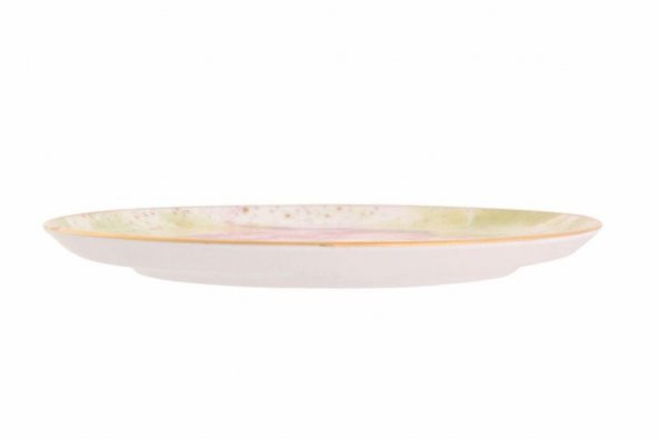 Porland Cosmos Desen2 Düz Tabak 24 cm 04ALM006665 - 3