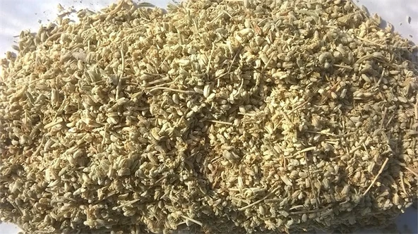 Gaziantep Pazarı Peryavşan Otu 500 G