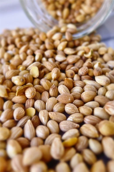 Gaziantep Pazarı Öğütülmüş Mahlep 100 G