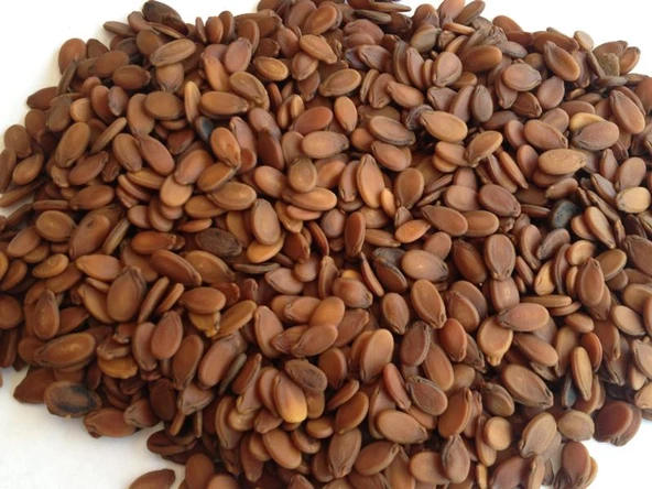 Gaziantep Pazarı Karpuz Çekirdeği 500 G